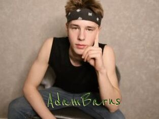 AdamBarns