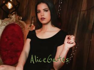 AliceGates