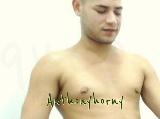 Anthonyhorny