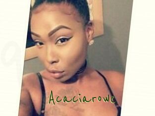 Acacia_rowe