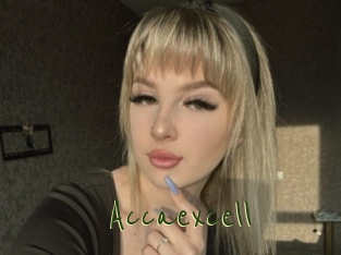 Accaexcell