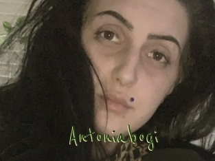 Antoniabogi