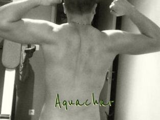 Aquachar