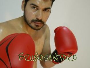 BRUNOSANTORO