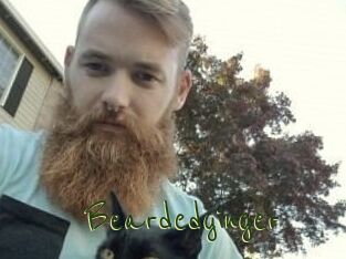 Beardedginger