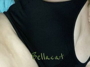 Bella_cat