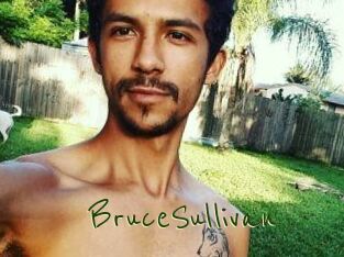 Bruce_Sullivan