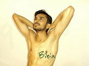 Bibin