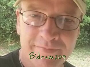 Bidrum209