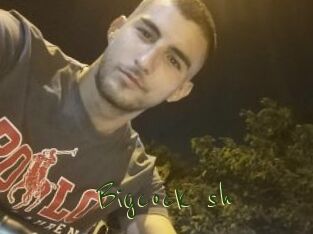 Bigcock_sh