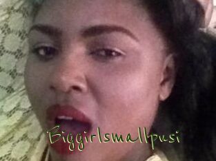 Biggirlsmallpusi