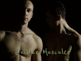 Curious_Muscules