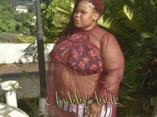 Chubby_bule
