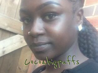 Cocoabigpuffs