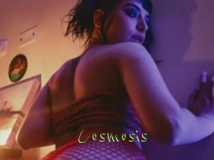 Cosmosis