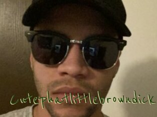 Cutephatlittlebrowndick
