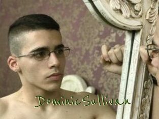 DominicSullivan Question Coquine