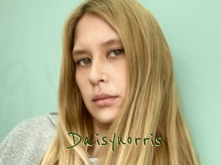 Daisynorris