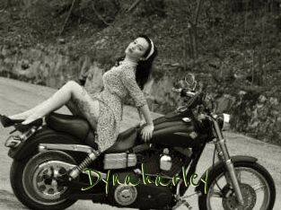 Dynaharley