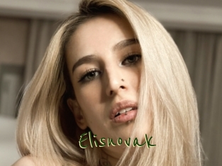Elisnovak