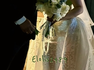 Elolis2489