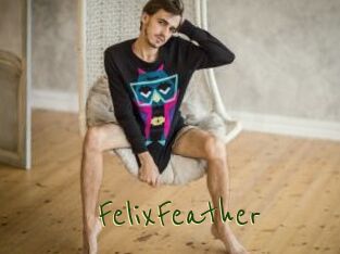 FelixFeather