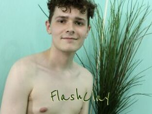 FlashClay