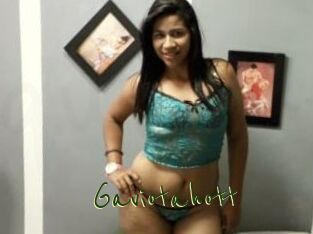 Gaviotahott