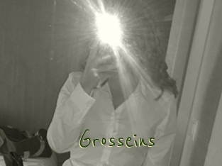 Grosseins