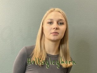 Hollisgleghorn