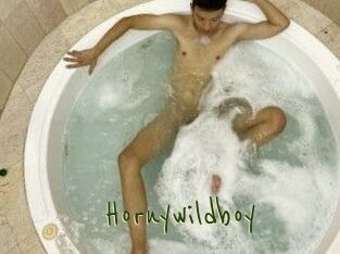 Hornywildboy