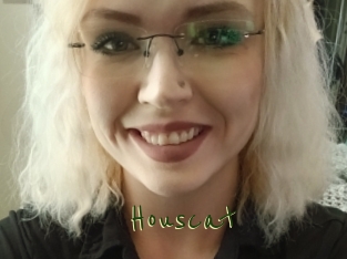 Houscat