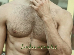 Indiansnake