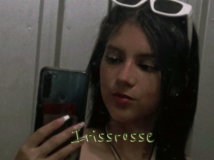 Irissrosse