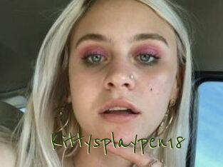 Kittysplaypen18