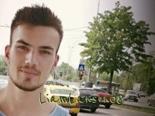 LiamLanson08