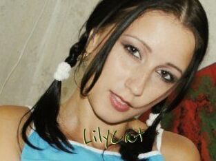 Lily_Cat_