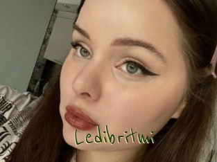 Ledibritmi