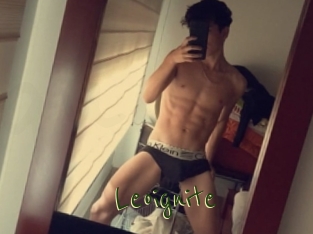 Leoignite