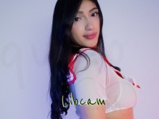 Libcam