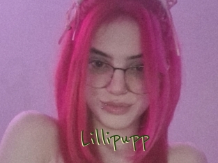 Lillipupp