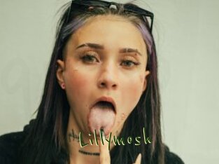 Lillymosh