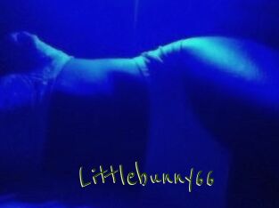 Littlebunny66