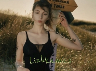 Lizhkamics