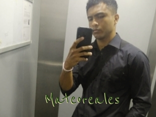 Mateoreales