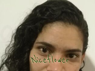 Nice_flower