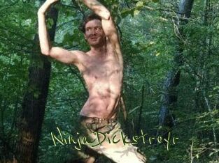 NinjaDickstroyr
