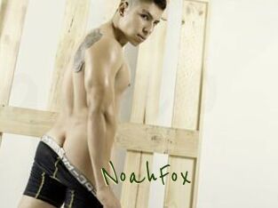 NoahFox