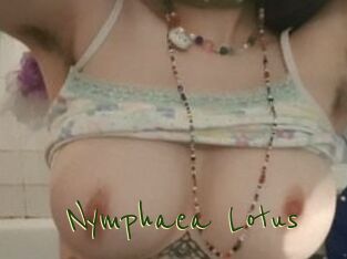 Nymphaea_Lotus
