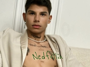Nedfollin
